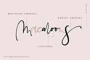 Palm Beach | Casual Script Font, a Script Font by Inky Jar Design Studio (Thumbnail 15 of 16)