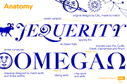 Rosart & Fleisch Hi Res ALL:10 FONTS, a Serif Font by California Type Foundry (Thumbnail 2 of 13)