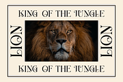 Berang Berang Serif Display Font, a Serif Font by Maryamtype Studio (Thumbnail 6 of 15)