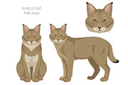 European wild cats clipart, an Animal Illustration by pet design shop (Thumbnail 6 of 10)