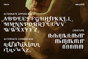 Hola Martini | Modern Serif Font, a Serif Font by ClevUs (Thumbnail 10 of 12)