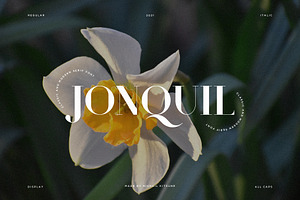 Jonquil - Classic & Modern Serif