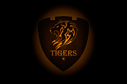 Great set sport logo (60off), an Animal Illustration by pashigorov (Thumbnail 6 of 16)