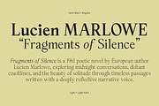 Panasea | 12 Fonts, a Serif Font by Skinny Type (Thumbnail 13 of 15)