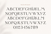 Letterature ligature serif font, a Serif Font by kaer_shop (Thumbnail 9 of 12)
