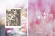 PETAL HAZE: Floral-Blur Backgrounds, a Background Graphic by alonahaidash (Thumbnail 7 of 12)