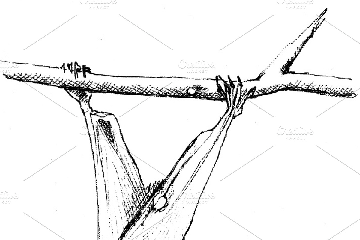Vampire bats, watercolor/ink/vector, an Animal Illustration by Watercolor_Vector Graphic (Photo 10 of 22)
