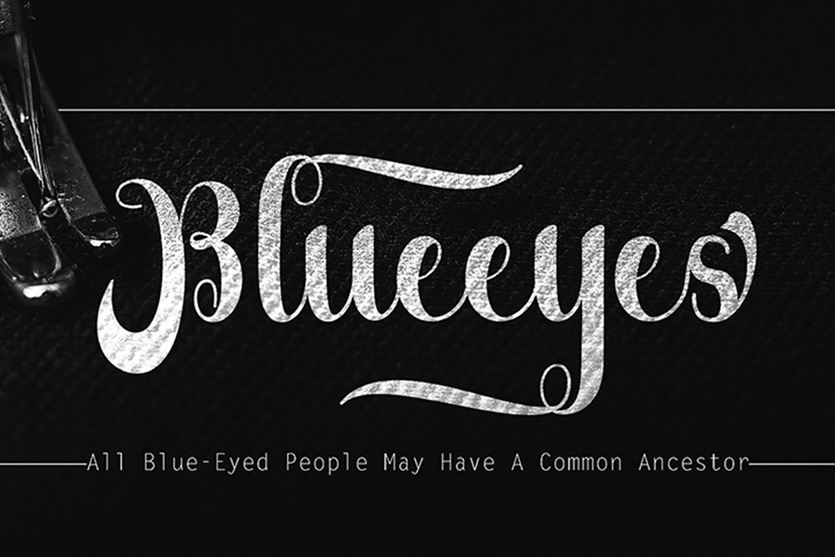 Bauthicia, a Script Font by Deniz86 (Photo 3 of 4)