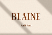 Blaine, a Serif Font by Larin Type Co. (Thumbnail 1 of 11)