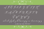 Belluccia Hand Lettered Font, a Script Font by Debi Sementelli (Thumbnail 2 of 2)