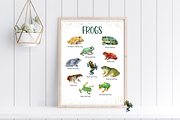 Frogs Watercolour Set, an Education Illustration by Tati Bordiu (Thumbnail 2 of 5)
