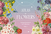 Atlas of Flowers - Botanical Art Set, an Object Graphic by Graphic Goods (Thumbnail 1 of 12)