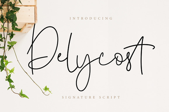 Delycost Signature Wedding Font preview 7