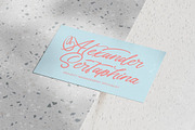 Akmelyn Beridge Bold Calligraphy, a Script Font by Letterena Studios Script (Thumbnail 9 of 20)