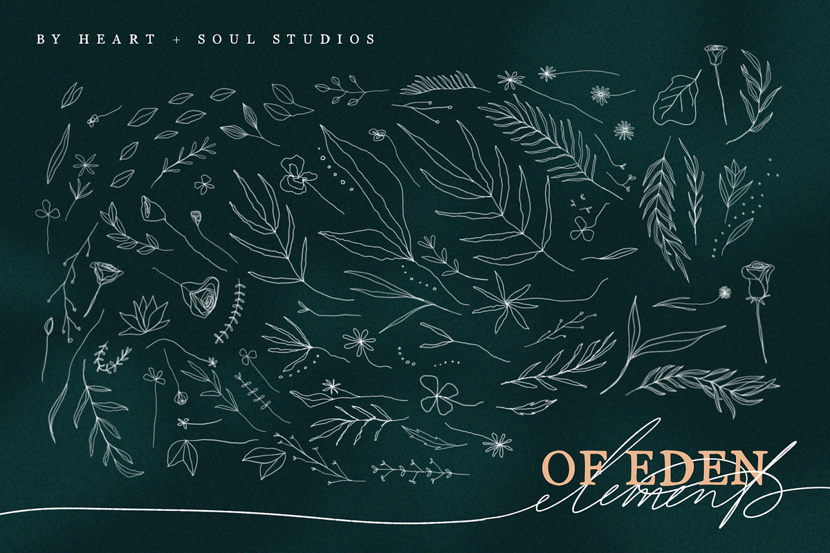 Of Eden | Floral Elements, a Seasonal Illustration by Heart + Soul Studios (Photo 7 of 8)