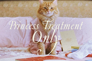 Fleur de Plume, a Script Font by Lilithcollageart (Thumbnail 6 of 9)