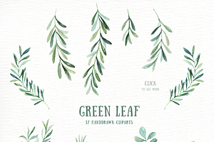 Green Leaf Watercolor Clipart