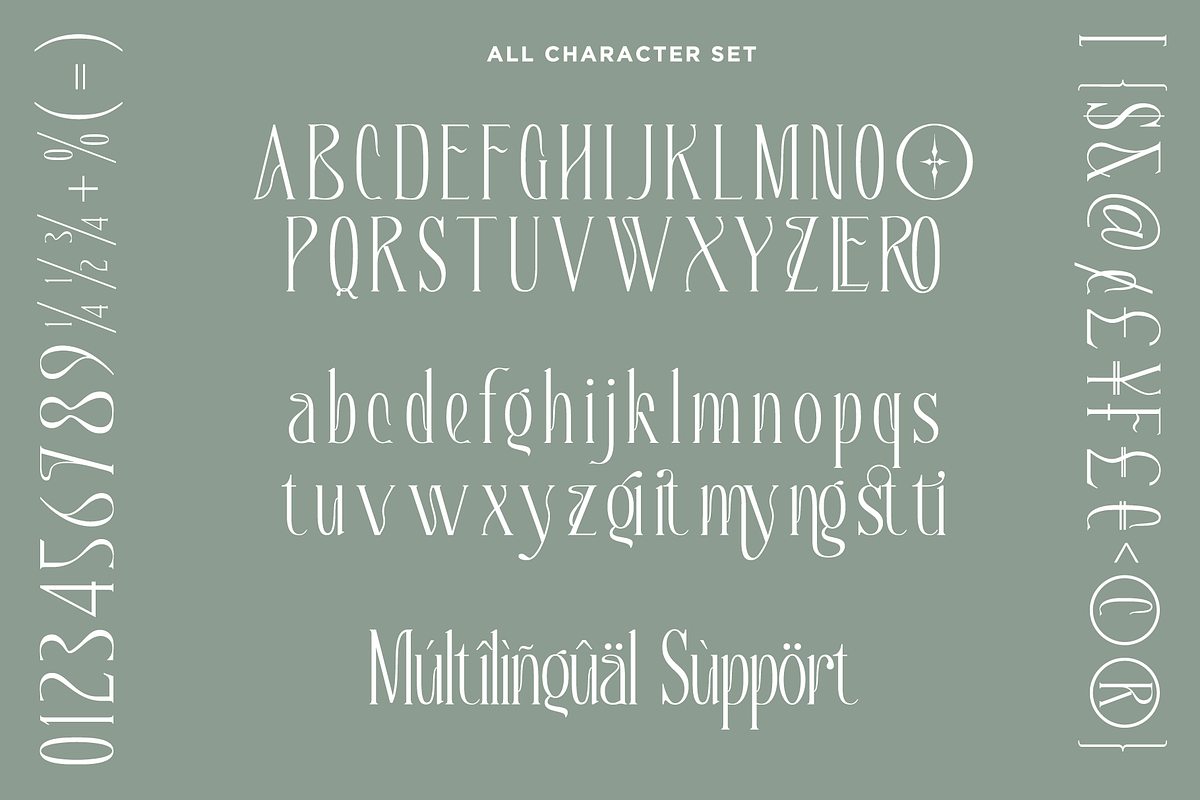 BLOWING PROPHECY - Absonstype, a Serif Font by Absonstype (Photo 11 of 11)