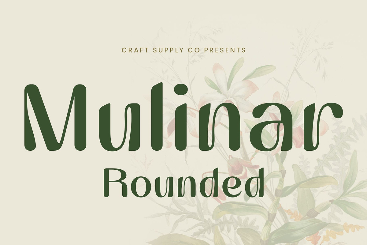 Mulinar Rounded, a Sans Serif Font by Craft Supply Co. (Photo 1 of 8)