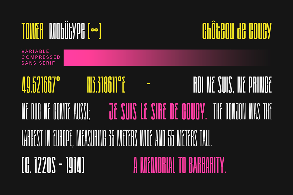 Tower Sans, a Sans Serif Font by Mabütype (Photo 6 of 8)