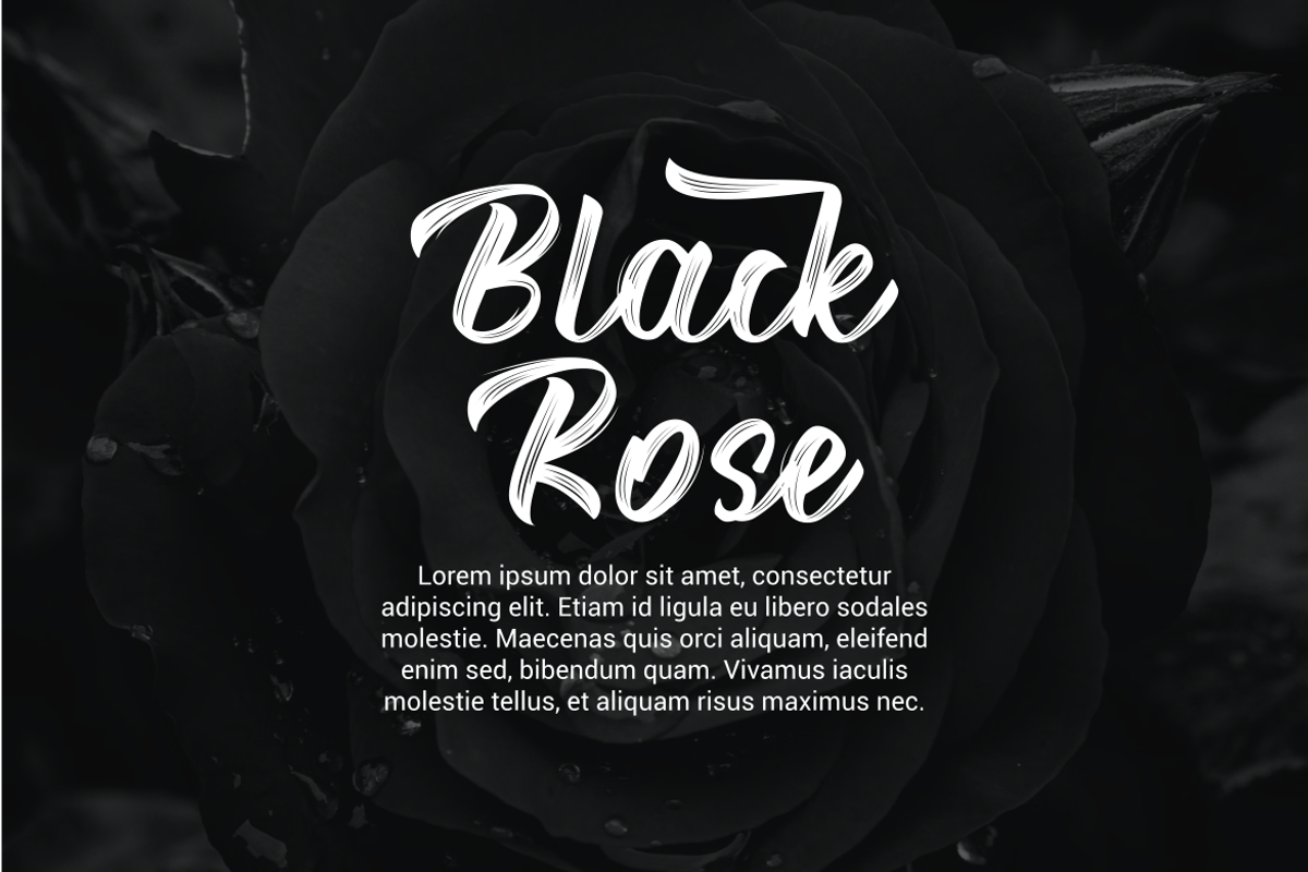 Majhike Brush Font, a Handwritten Font by Onotype (Photo 3 of 7)