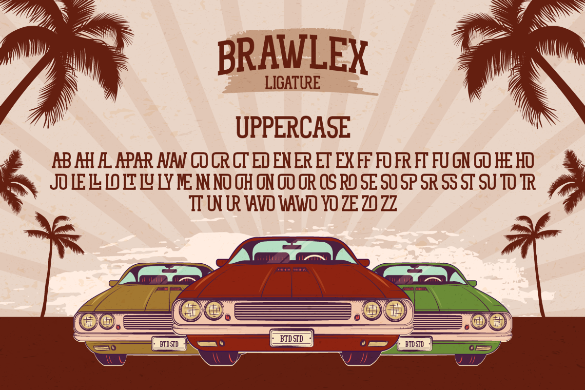 Brawlex, a Serif Font by Burntilldead (Photo 7 of 12)