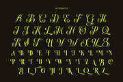 Antique Orchad Hybrid Serif Font, a Serif Font by timelesstype.co (Thumbnail 16 of 20)