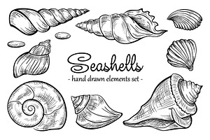 Seashells design elements set lite