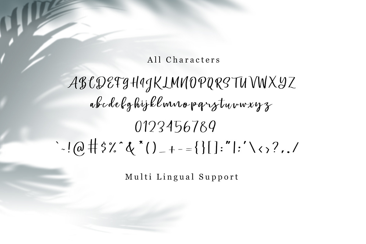 Swally - Brush Script Font preview 7
