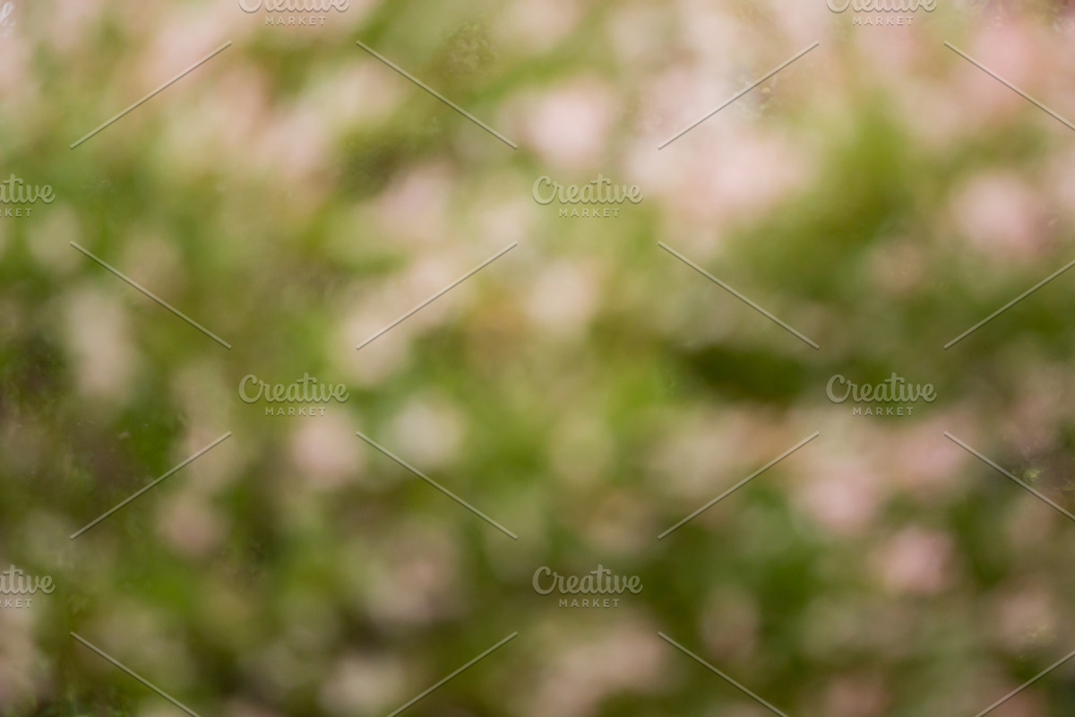 GreenGrass blurred backgrounds, a Texture Graphic by Punto Photo (Photo 3 of 3)