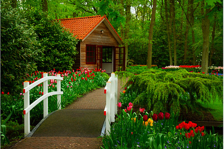 Stone walk way in garden, a Nature Photo by Neirfy