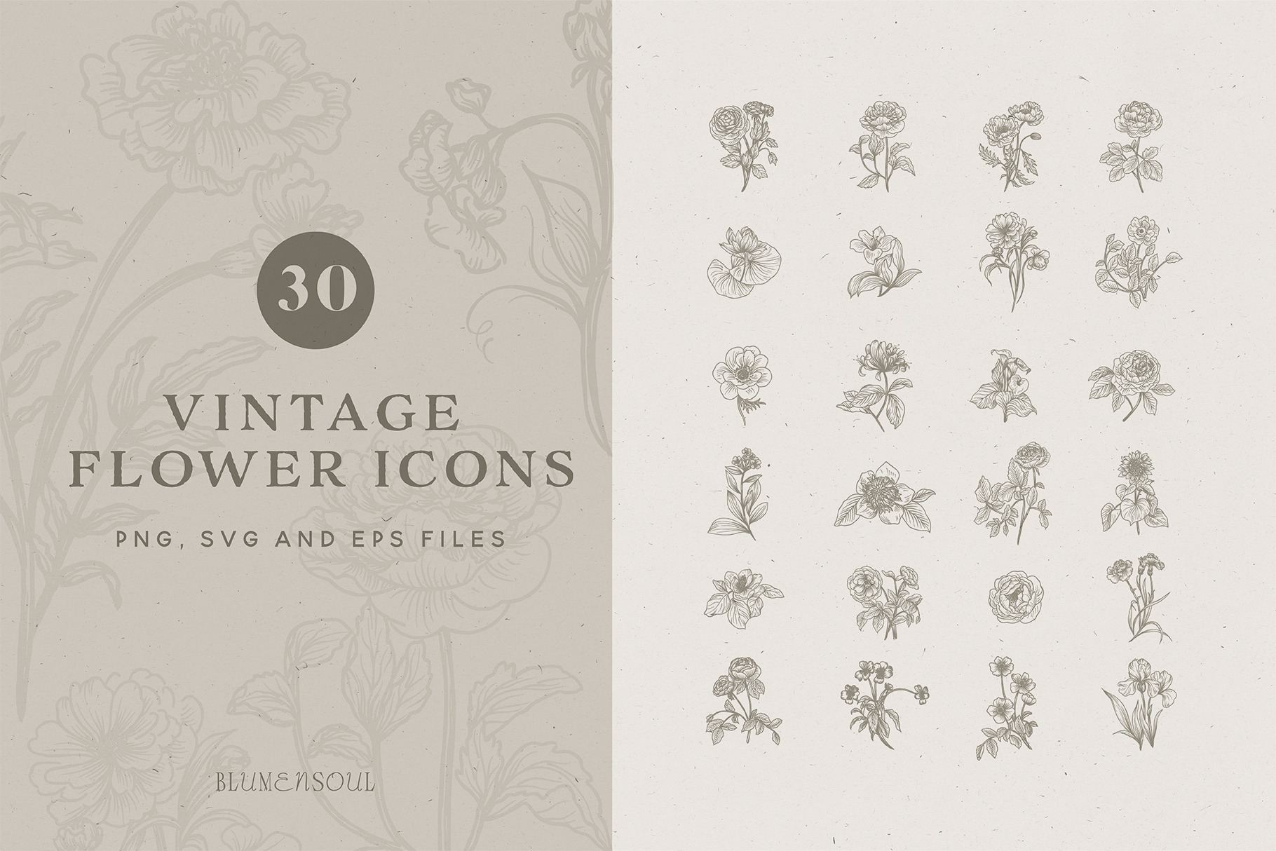 Vintage Flower Icons  Logo Elements by Blumensoul  Creative Market
