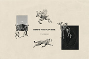 Flip Side collection, an Object Graphic by Purple (Thumbnail 4 of 10)