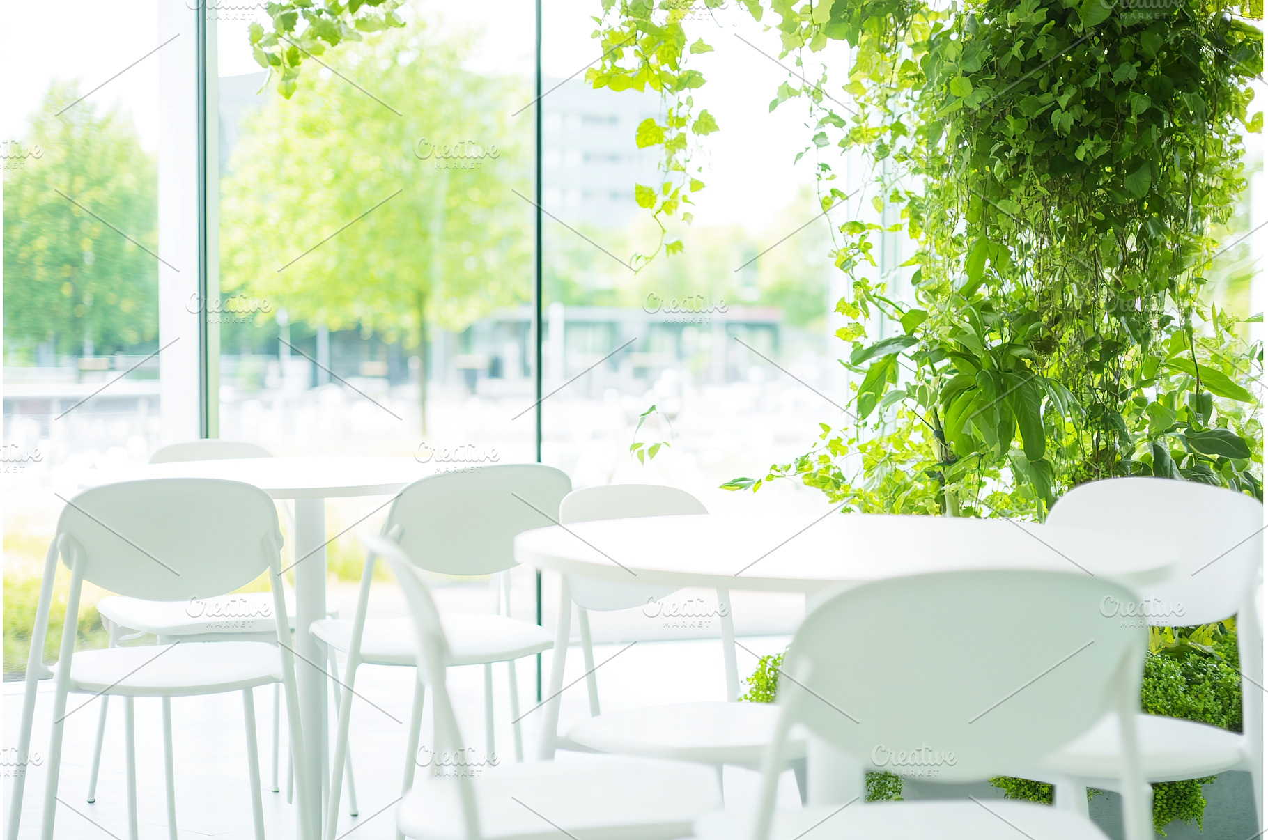 Biophilic indoor design with natural, an Architecture Photo by Lermont51