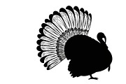 Thanksgiving Turkey Silhouettes, an Illustration by Amazin_art (Thumbnail 5 of 16)