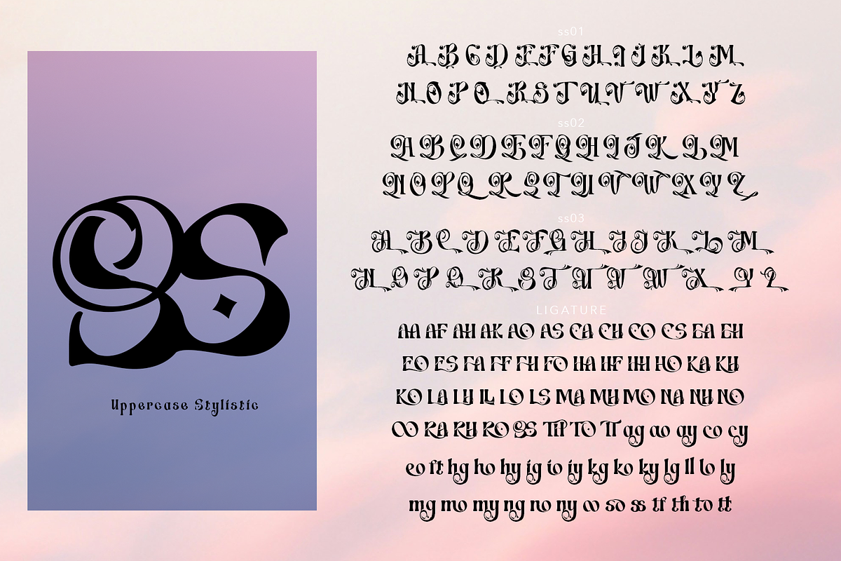 Switella - Modern Decorative Font, a Serif Font by TypeClassHeroes (Photo 9 of 10)