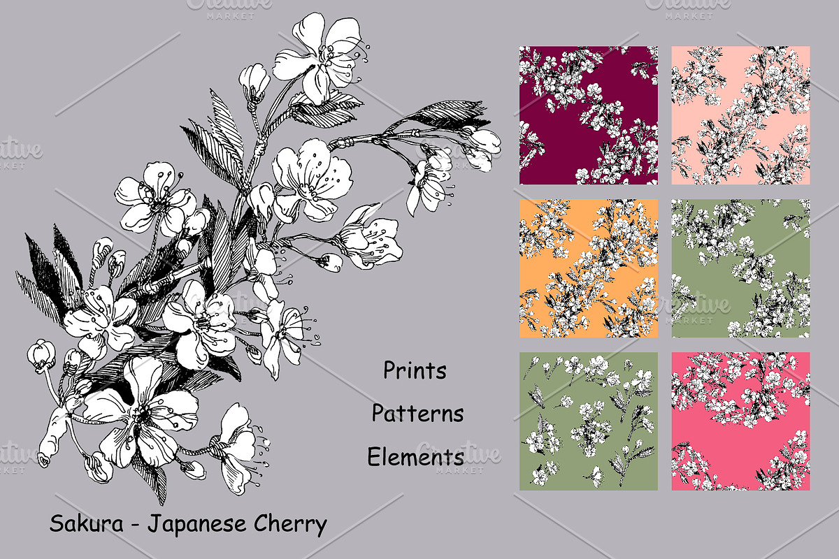 Sakura - Japanese Cherry, a Pattern Graphic by Ekaterina.V.V