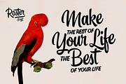 Roster Script + Extras (35% OFF), a Script Font by Fenotype (Thumbnail 8 of 20)
