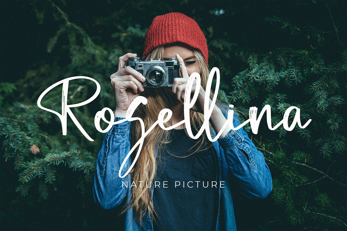Mallyola Brush Script Font, a Script Font by NTC Graphic (Photo 2 of 8)