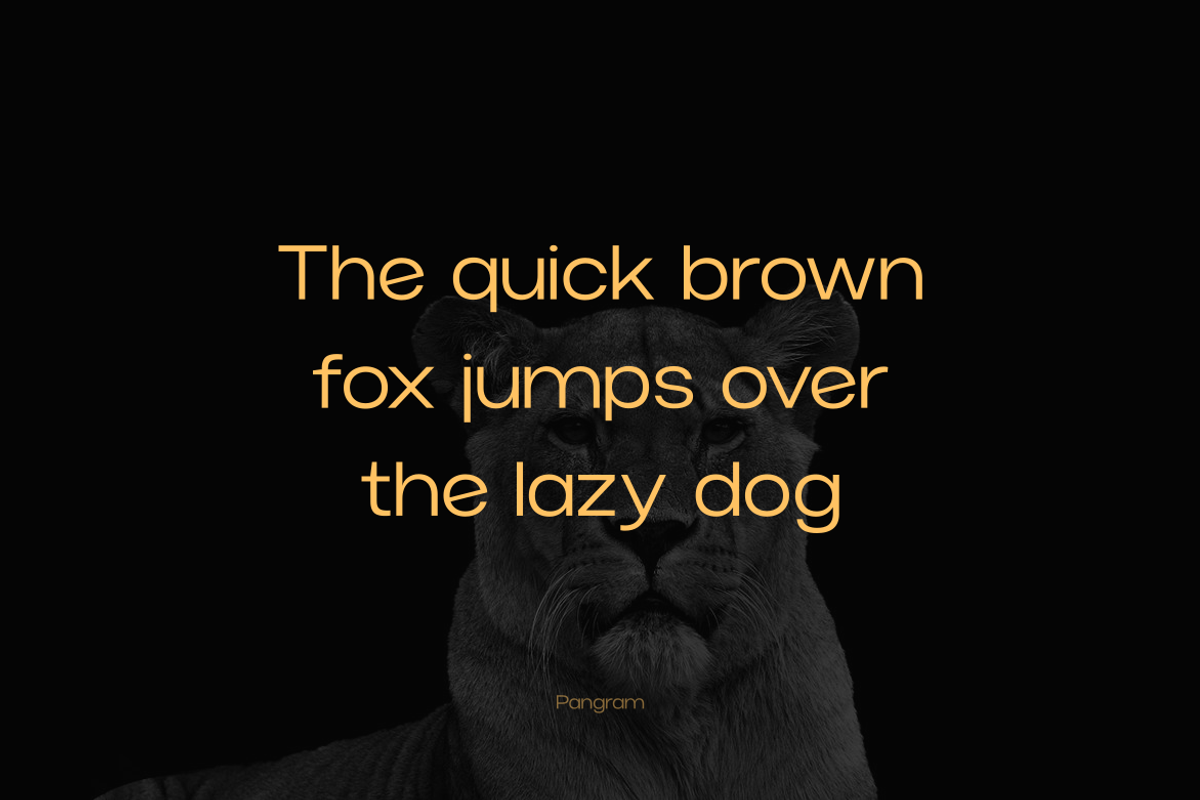 Norik Nue - A Modern Sans-serif Font, a Sans Serif Font by Webhance Studio (Photo 2 of 12)