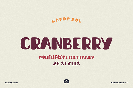 Cranberry Font Family - 26 Fonts, a Sans Serif Font by alpercakici