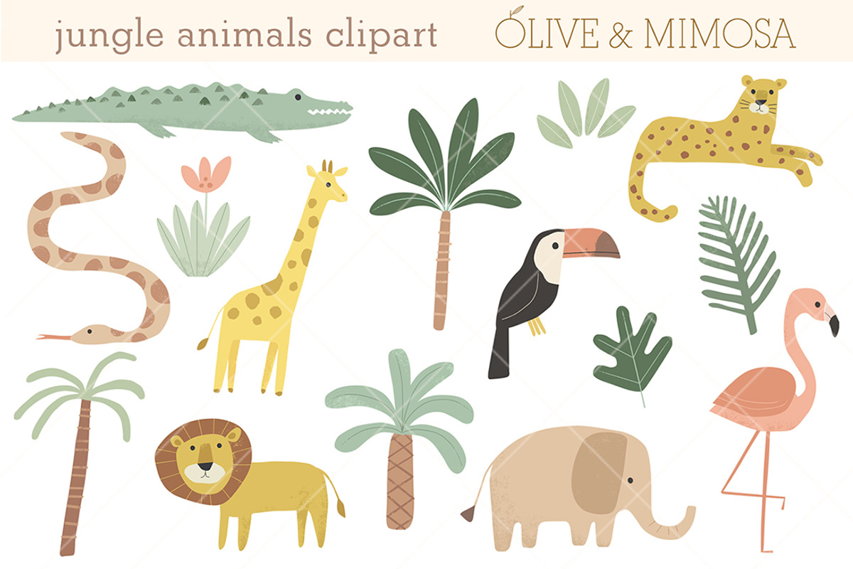 Jungle animals clipart set, an Animal Illustration by Olive & Mimosa