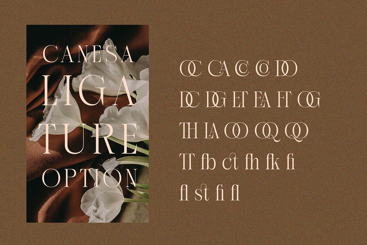 Canesa A Elegant Serif Font, a Serif Font by RantautypeStudio (Photo 14 of 15)