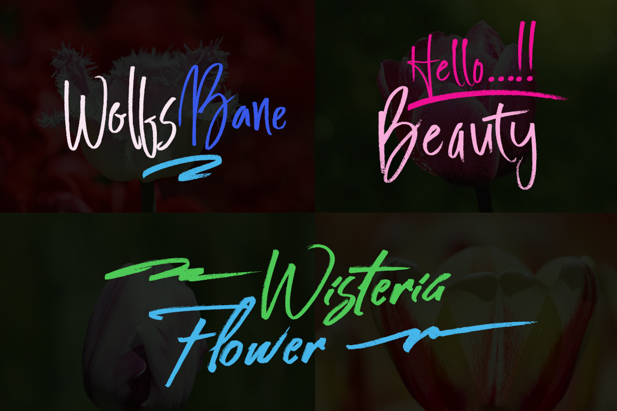 Fonts Trio preview 8