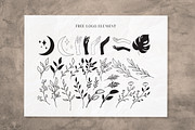 Casanova Elegant Serif Display, a Serif Font by Typetemp Studio (Thumbnail 5 of 30)