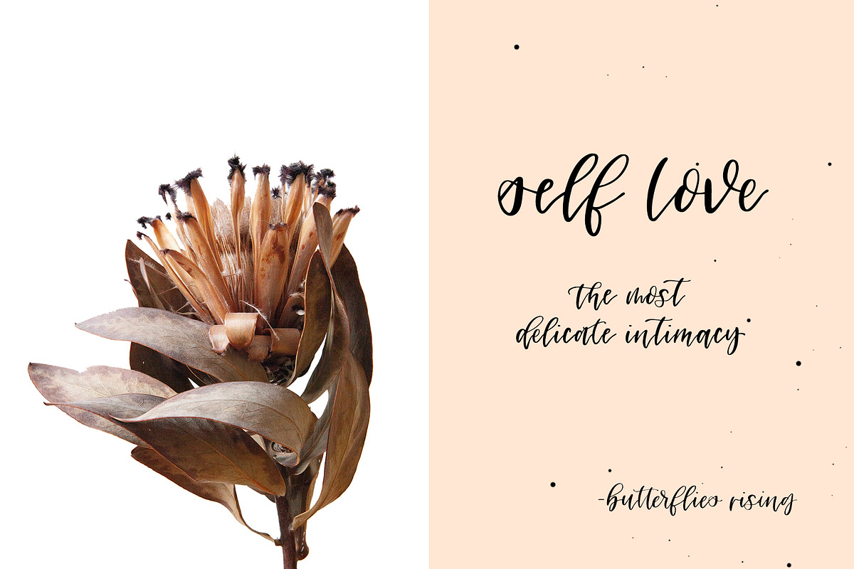 Oriole Script Font, a Script Font by The Pigeon Letters (Photo 9 of 14)