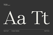 Kalfs Text sE, a Serif Font by silukEight (Thumbnail 6 of 10)