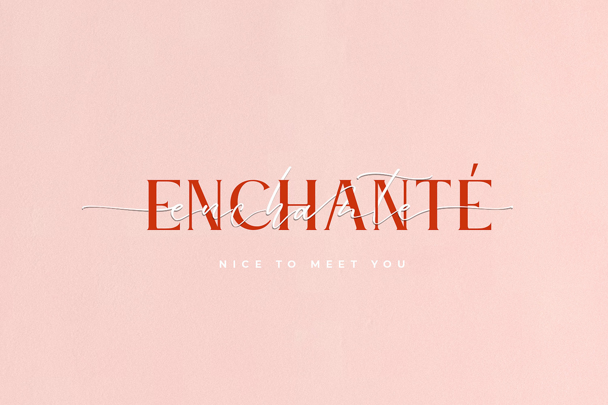 Le Jour - Font Script Serif Family, a Font by din-studio.com (Photo 4 of 15)