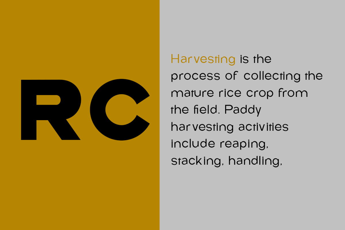 Rice Collect, a Sans Serif Font by groens (Photo 2 of 6)