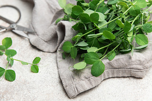 Fresh pea shoots resting on grey linen cloth with scissors, a Food & Drink Photo by Olena Rudo